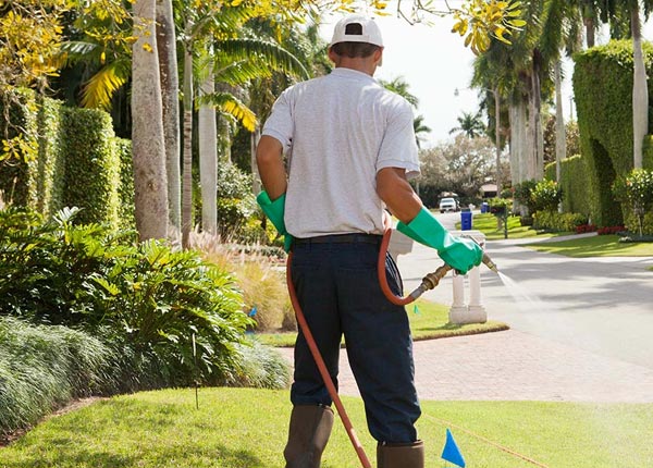 About Norvelt PA Pest Control